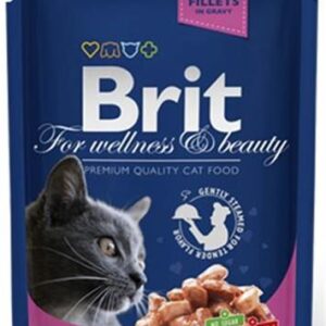 BRIT Premium cat Kapsička Adult Salmon & Trout 100 g