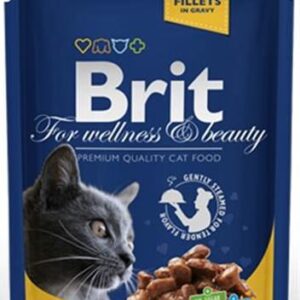 BRIT Premium cat Kapsička Adult Chicken & Turkey 100 g