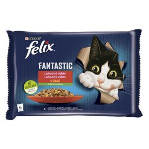 Nestlé FELIX Fantastic cat Multipack kura s rajčinami & hovädzie s mrkvou želé kapsička 4x85 g