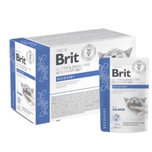 Brit VD Gluten & Grain-Free Cat Fillets in Gravy Recovery 85 g kapsička